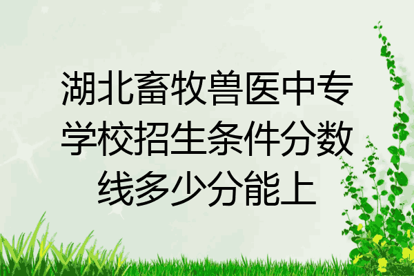 湖北畜牧兽医中专学校招生条件分数线多少分能上