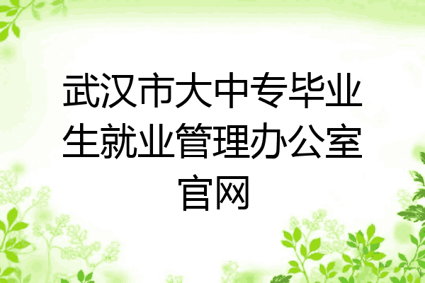 武汉市大中专毕业生就业管理办公室官网