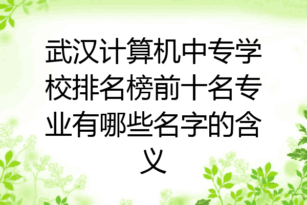 武汉计算机中专学校排名榜前十名专业有哪些名字的含义