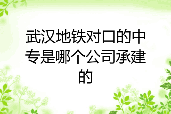 武汉地铁对口的中专是哪个公司承建的