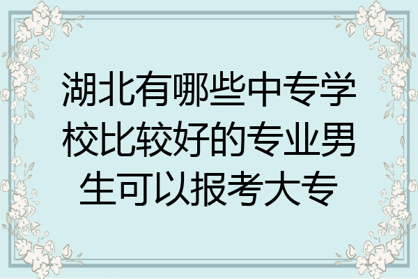 湖北有哪些中专学校比较好的专业男生可以报考大专