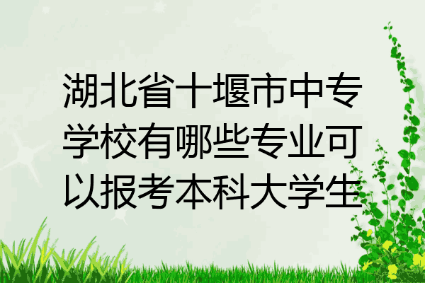 湖北省十堰市中专学校有哪些专业可以报考本科大学生