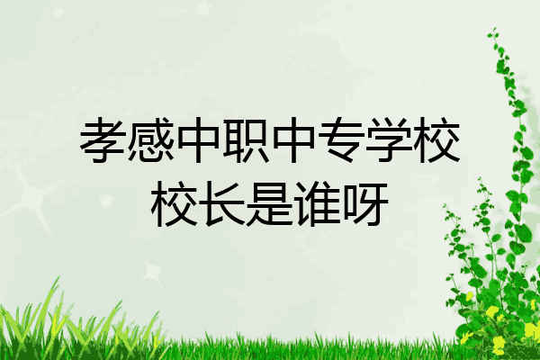 孝感中职中专学校校长是谁呀