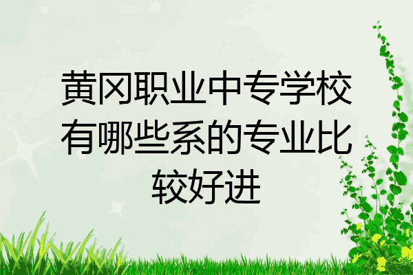 黄冈职业中专学校有哪些系的专业比较好进