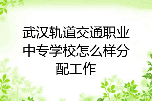 武汉轨道交通职业中专学校怎么样分配工作