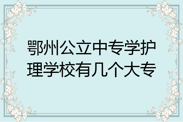 鄂州公立中专学护理学校有几个大专
