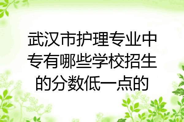 武汉市护理专业中专有哪些学校招生的分数低一点的