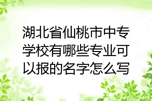 湖北省仙桃市中专学校有哪些专业可以报的名字怎么写