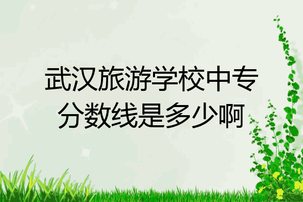 武汉旅游学校中专分数线是多少啊