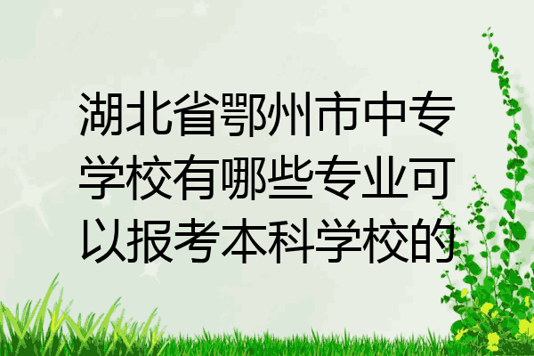 湖北省鄂州市中专学校有哪些专业可以报考本科学校的