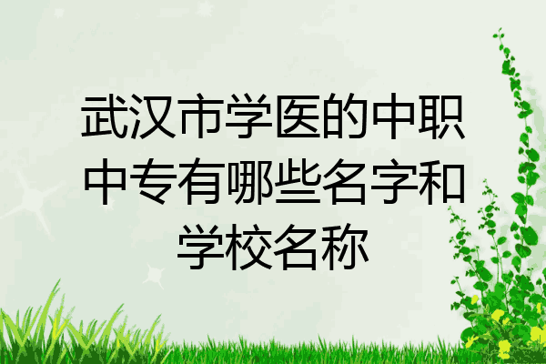 武汉市学医的中职中专有哪些名字和学校名称