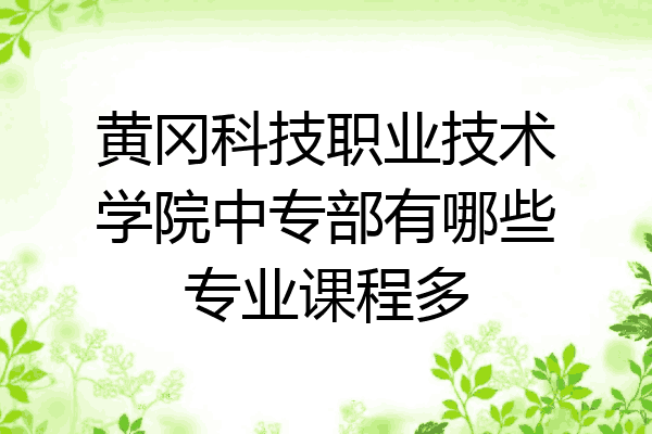 黄冈科技职业技术学院中专部有哪些专业课程多