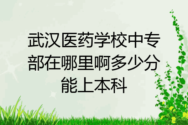 武汉医药学校中专部在哪里啊多少分能上本科