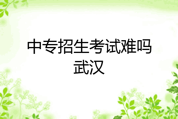中专招生考试难吗武汉