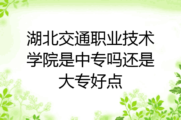 湖北交通职业技术学院是中专吗还是大专好点