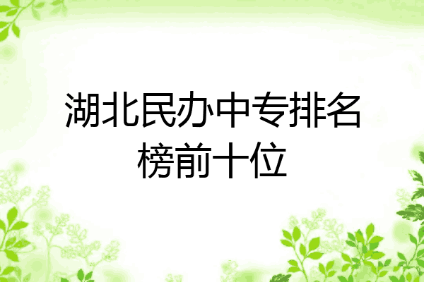 湖北民办中专排名榜前十位