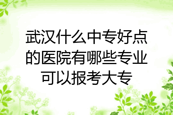 武汉什么中专好点的医院有哪些专业可以报考大专