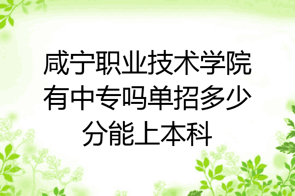 咸宁职业技术学院有中专吗单招多少分能上本科