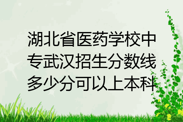 湖北省医药学校中专武汉招生分数线多少分可以上本科