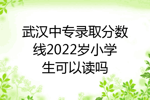 武汉中专录取分数线2022岁小学生可以读吗