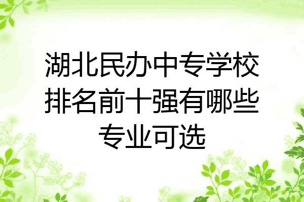 湖北民办中专学校排名前十强有哪些专业可选
