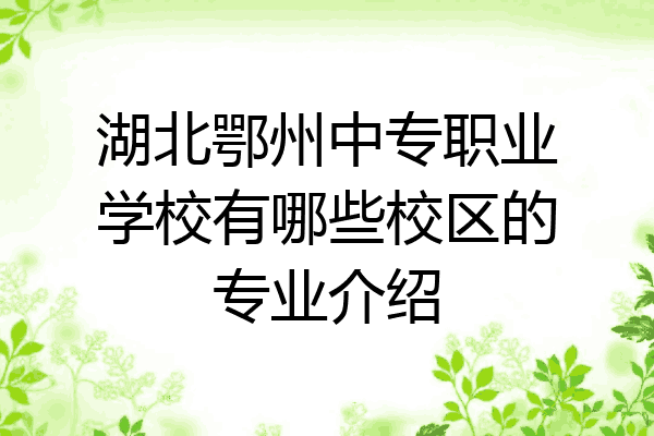 湖北鄂州中专职业学校有哪些校区的专业介绍