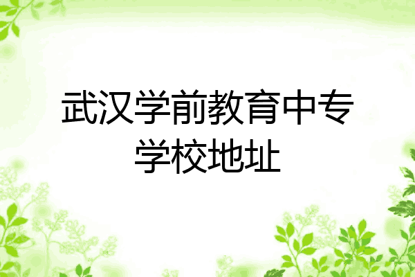 武汉学前教育中专学校地址