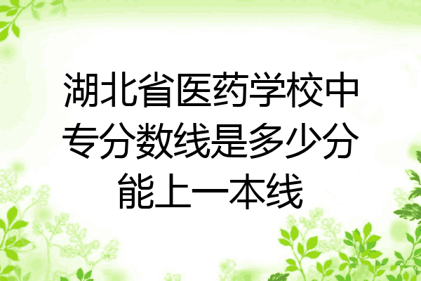 湖北省医药学校中专分数线是多少分能上一本线