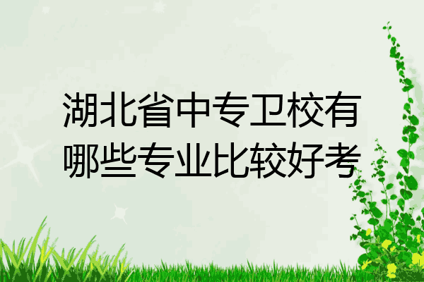 湖北省中专卫校有哪些专业比较好考