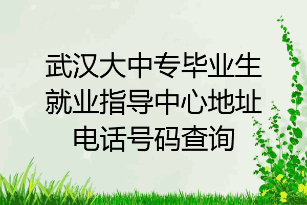 武汉大中专毕业生就业指导中心地址电话号码查询