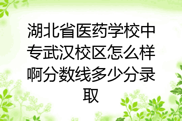 湖北省医药学校中专武汉校区怎么样啊分数线多少分录取