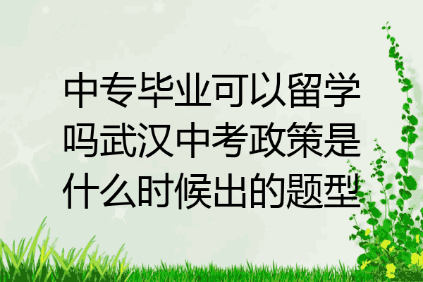 中专毕业可以留学吗武汉中考政策是什么时候出的题型