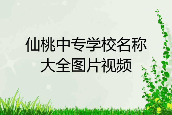 仙桃中专学校名称大全图片视频