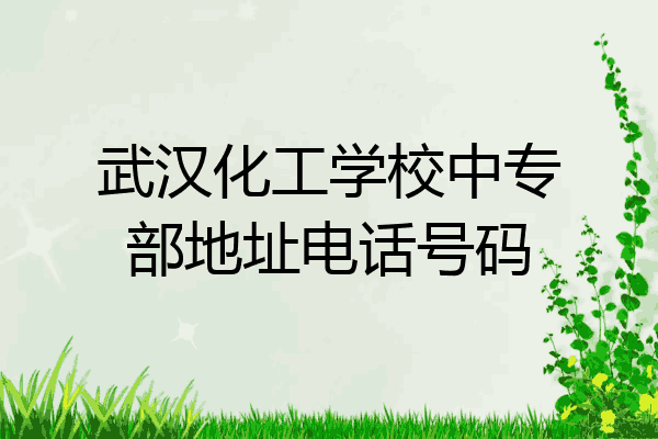 武汉化工学校中专部地址电话号码