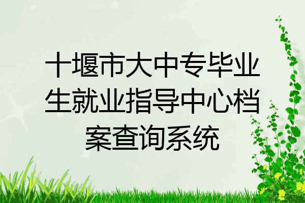 十堰市大中专毕业生就业指导中心档案查询系统