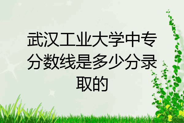 武汉工业大学中专分数线是多少分录取的