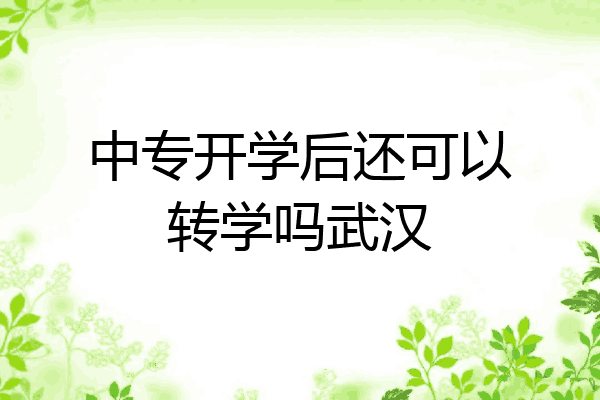 中专开学后还可以转学吗武汉