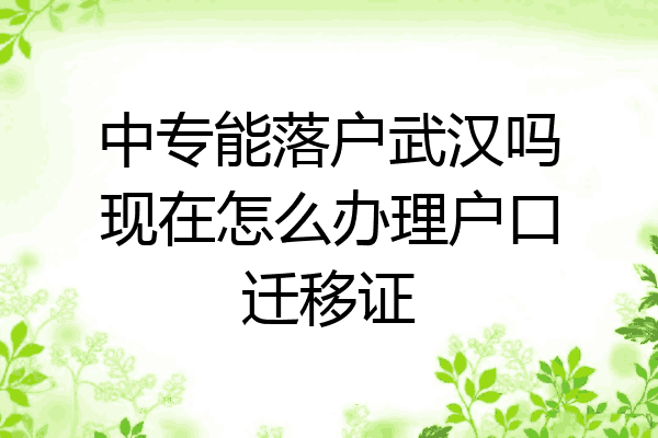 中专能落户武汉吗现在怎么办理户口迁移证