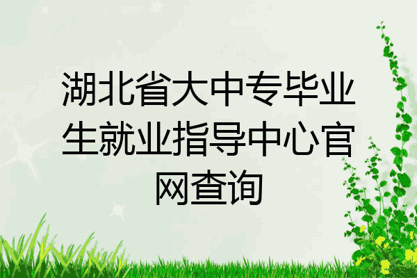 湖北省大中专毕业生就业指导中心官网查询