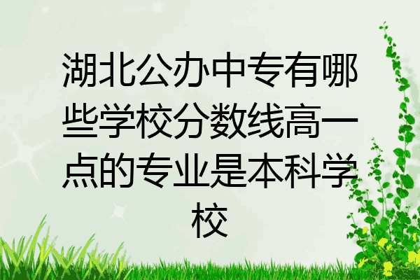 湖北公办中专有哪些学校分数线高一点的专业是本科学校