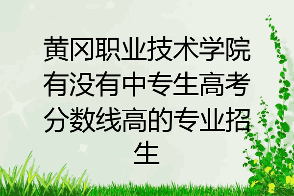 黄冈职业技术学院有没有中专生高考分数线高的专业招生