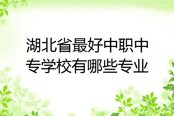 湖北省最好中职中专学校有哪些专业