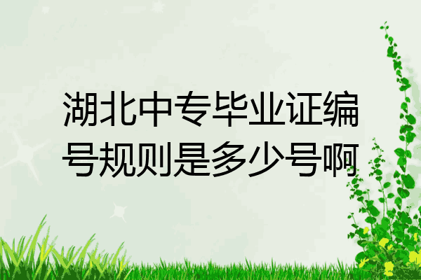 湖北中专毕业证编号规则是多少号啊
