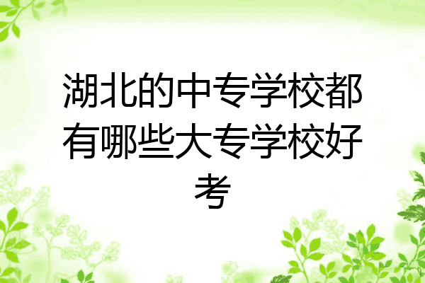 湖北的中专学校都有哪些大专学校好考