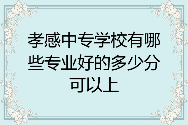 孝感中专学校有哪些专业好的多少分可以上