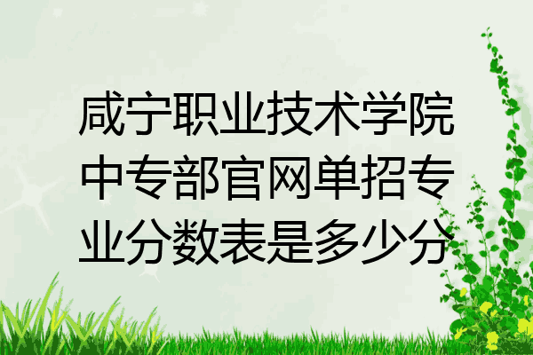 咸宁职业技术学院中专部官网单招专业分数表是多少分