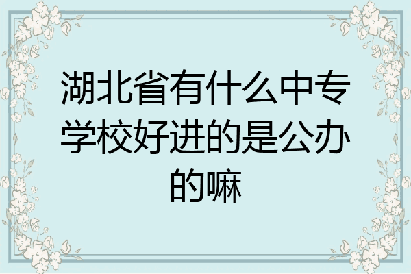 湖北省有什么中专学校好进的是公办的嘛