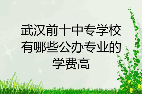 武汉前十中专学校有哪些公办专业的学费高