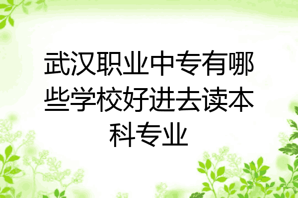 武汉职业中专有哪些学校好进去读本科专业