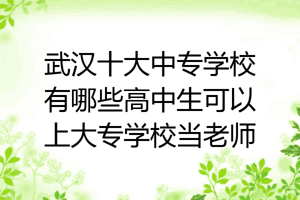 武汉十大中专学校有哪些高中生可以上大专学校当老师